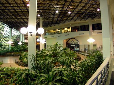 Movies at Prudential Town Center - Plants